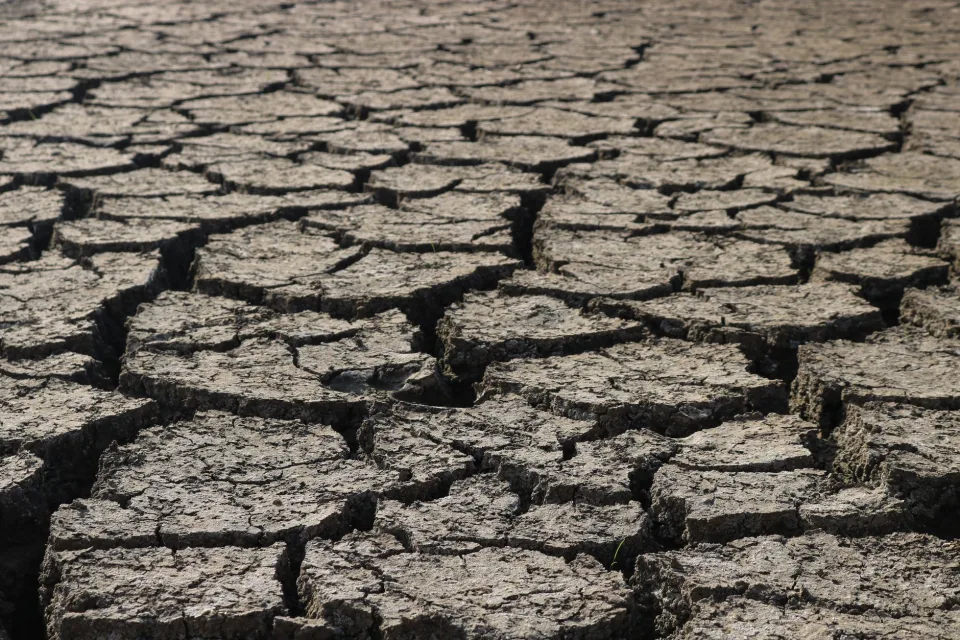 L’ondata di caldo storica intensifica il rischio di siccità in Europa secondo uno studio internazionale