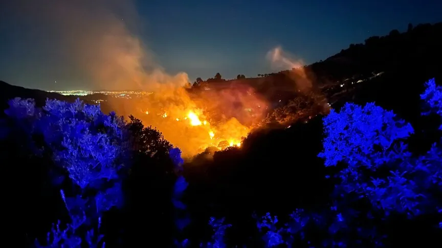 İzmir'de ormanlık alanda çıkan yangına müdahale ediliyor
