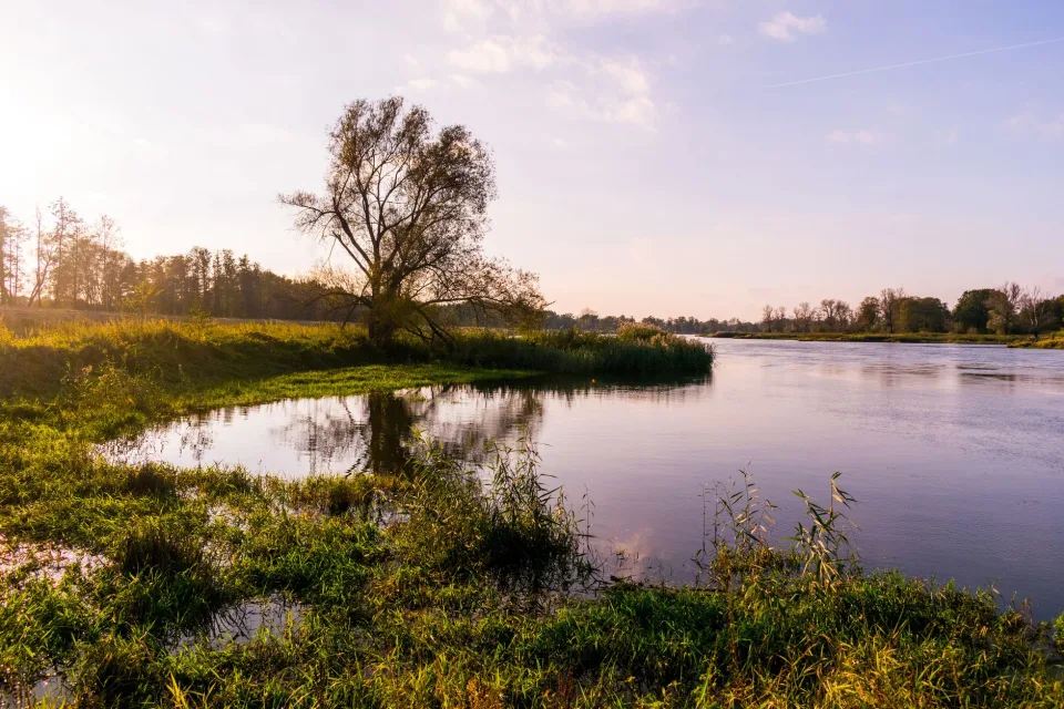 Almanya'da Ren, Elbe ve Tuna nehirlerinde su seviyesi kritik düzeye geriledi