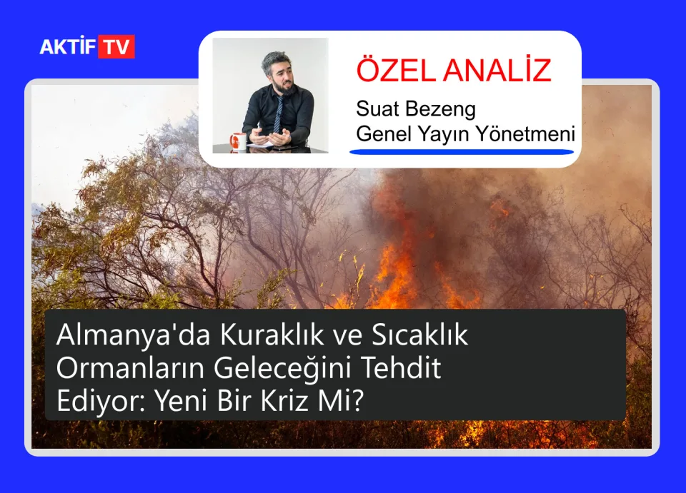 Almanya'da Kuraklık ve Sıcaklık Ormanların Geleceğini Tehdit Ediyor: Yeni Bir Kriz Mi?