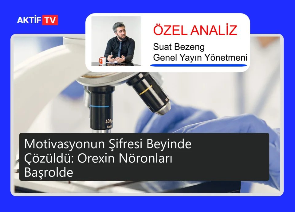 Motivasyonun Şifresi Beyinde Çözüldü: Orexin Nöronları Başrolde