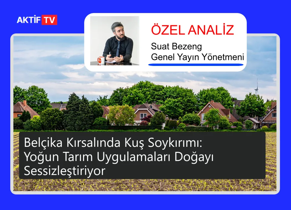 Belçika Kırsalında Kuş Soykırımı: Yoğun Tarım Uygulamaları Doğayı Sessizleştiriyor