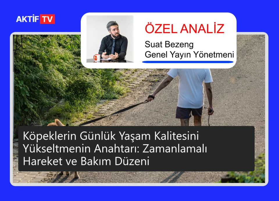 Köpeklerin Günlük Yaşam Kalitesini Yükseltmenin Anahtarı: Zamanlamalı Hareket ve Bakım Düzeni