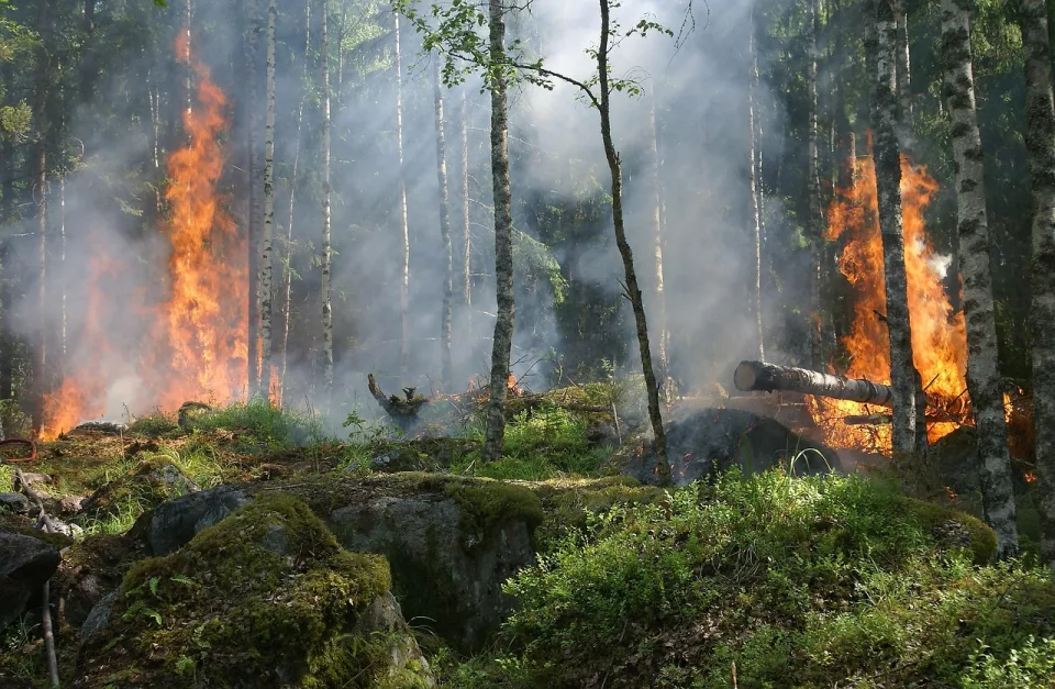 L’Europa rafforza i preparativi contro gli incendi boschivi in vista dell’estate duemilaventiquattro