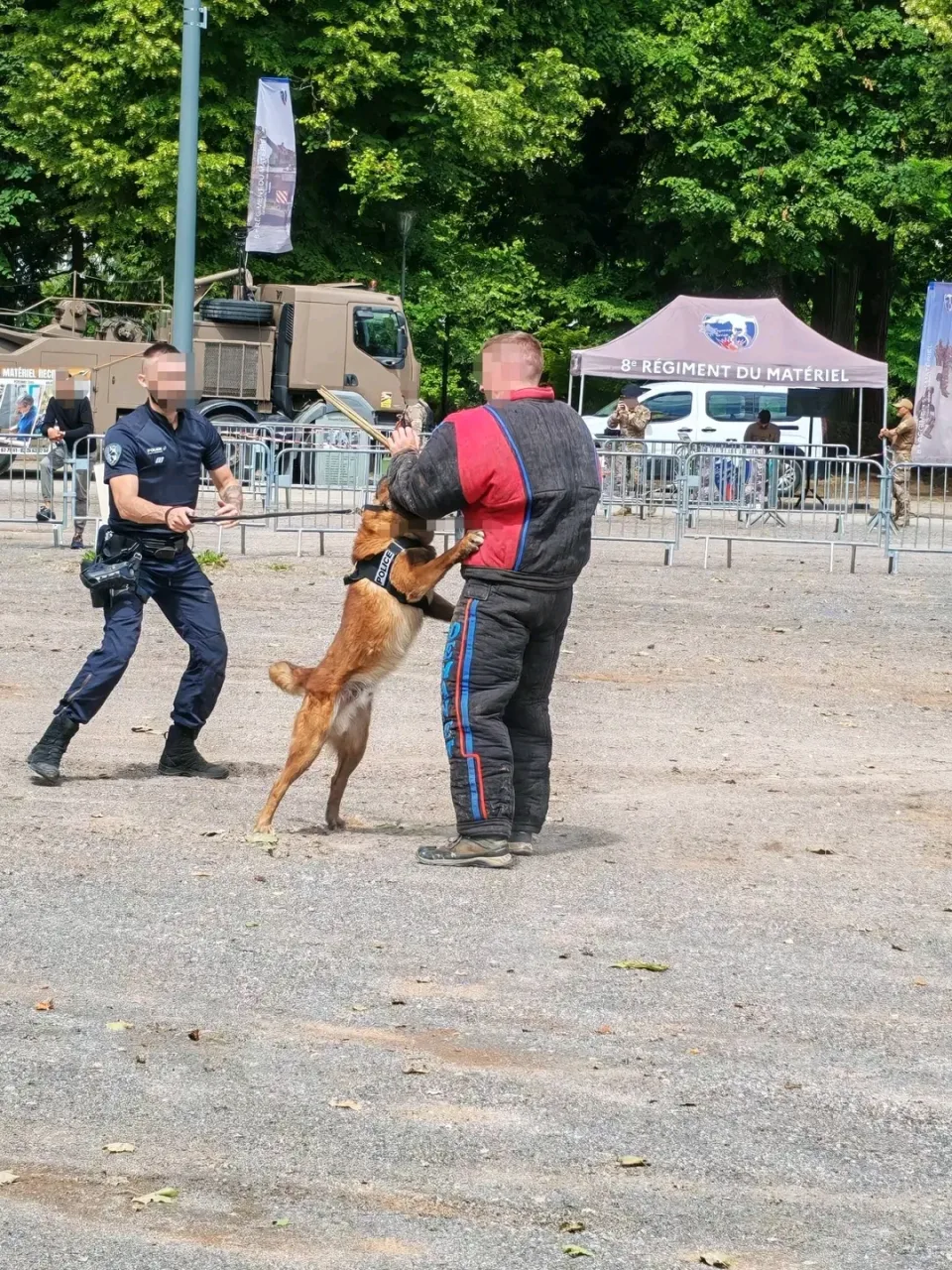 Fransanın Vosges bölgəsində polis peşə tanıtım günlərinə böyük maraq göstərilib