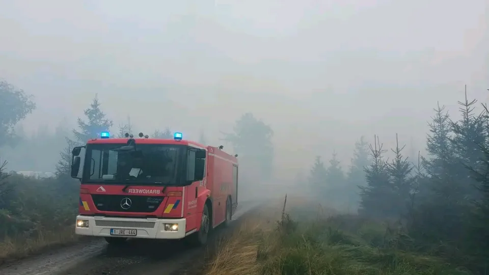 Belgjika mbështet Hoge Venen pas zjarrit të fuqishëm në rajonin natyror.