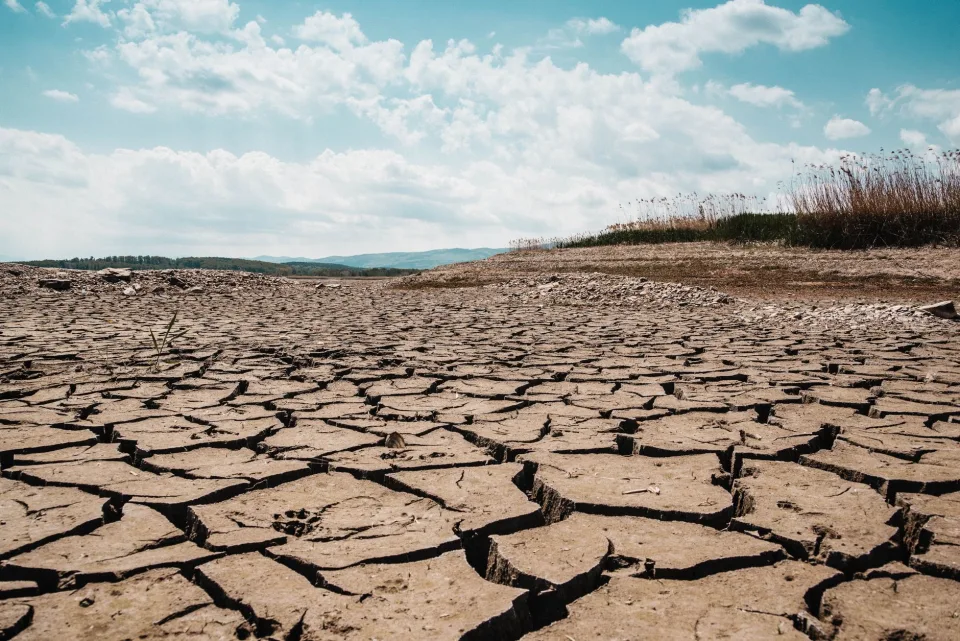 İsviçre, El Nino ile kuraklıkların daha sık yaşanabileceğini bildirdi