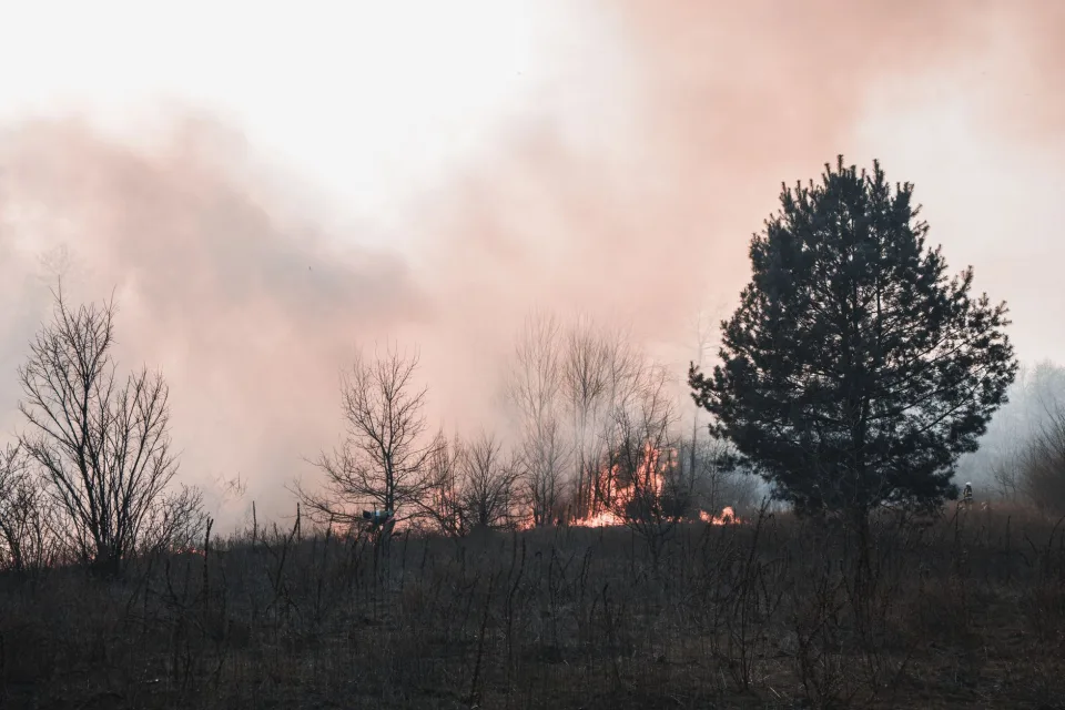 Un incendio comenzó en el bosque cercano a Bastide-Puylaurent, causando alarma general.