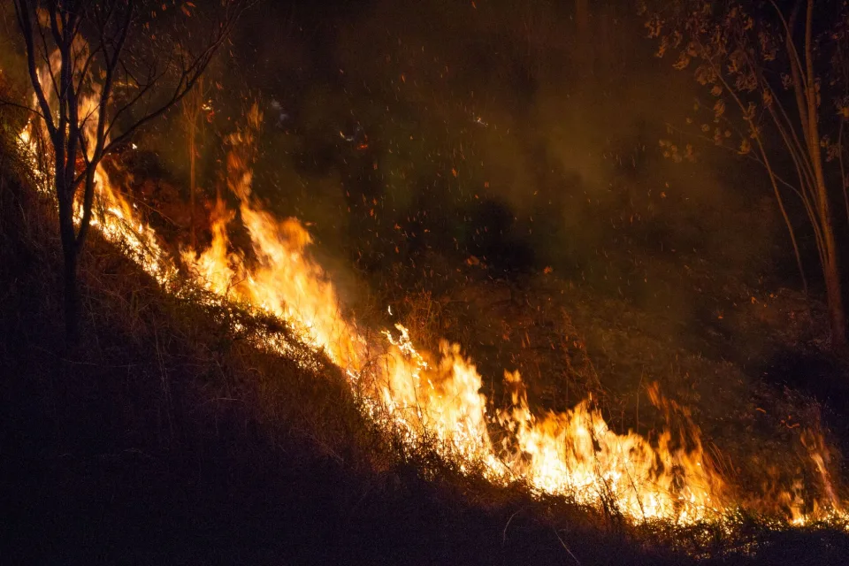 Evropa se suočava sa sve većim rizikom od šumskih požara.