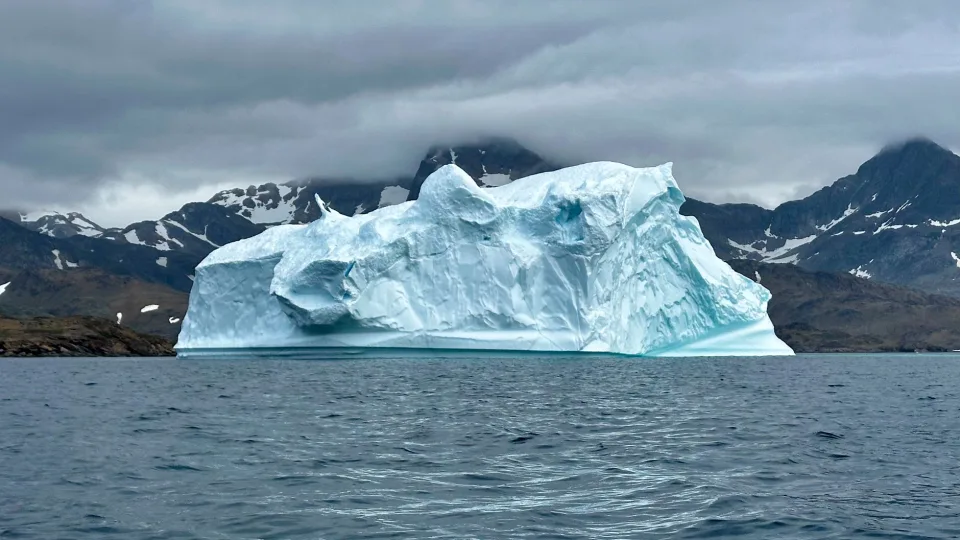 In Groenlandia i ghiacciai in scioglimento offrono nuove aree di vita alle balene