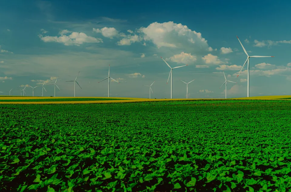 Anteil erneuerbarer Energien an Stromerzeugung erreicht historischen Höchstwert