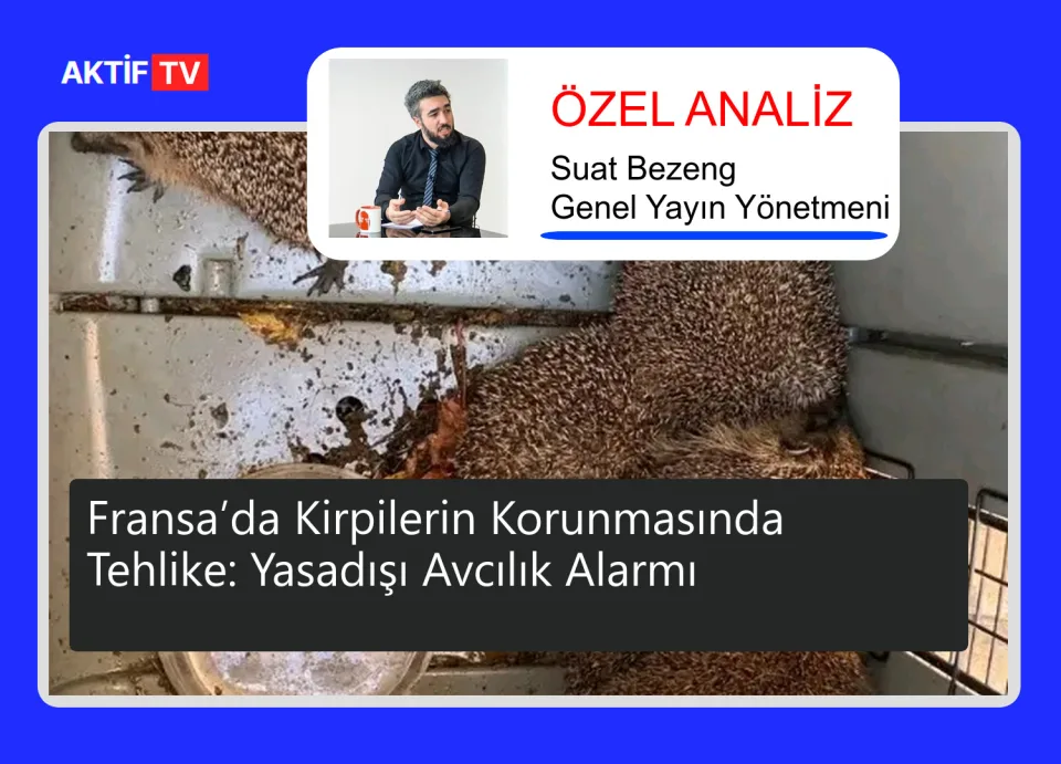 Fransa’da Kirpilerin Korunmasında Tehlike: Yasadışı Avcılık Alarmı