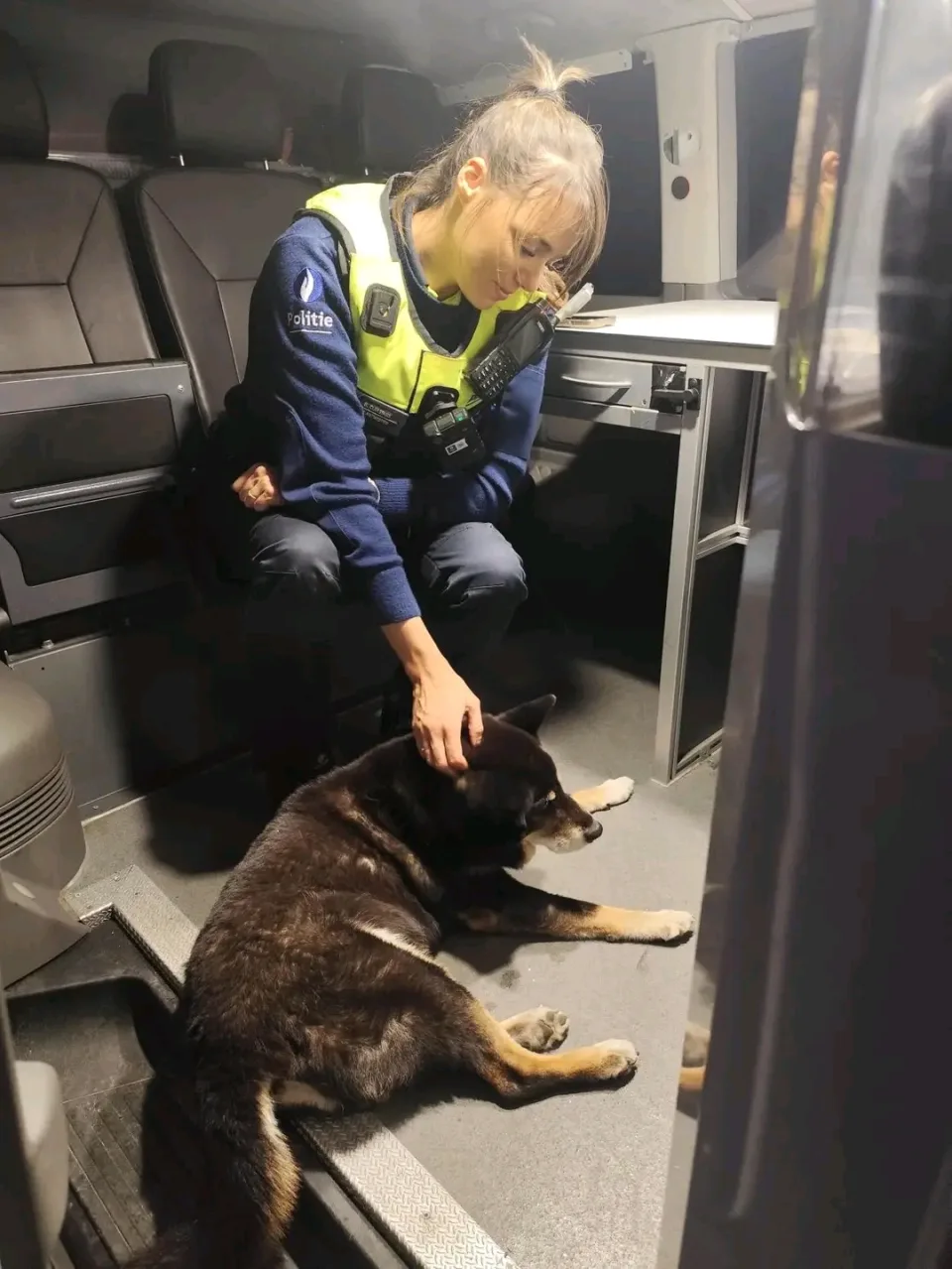 Belçika’da yaralı bulunan köpek sahibine kavuşturuldu