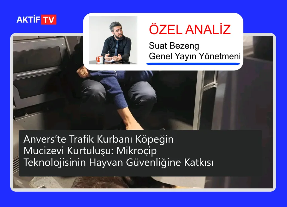Anvers’te Trafik Kurbanı Köpeğin Mucizevi Kurtuluşu: Mikroçip Teknolojisinin Hayvan Güvenliğine Katkısı