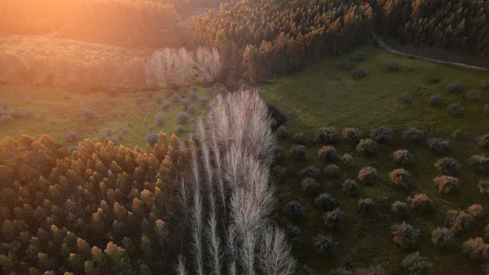 Germany: Seven of Nine Planetary Boundaries Have Now Been Exceeded, Scientists Warn