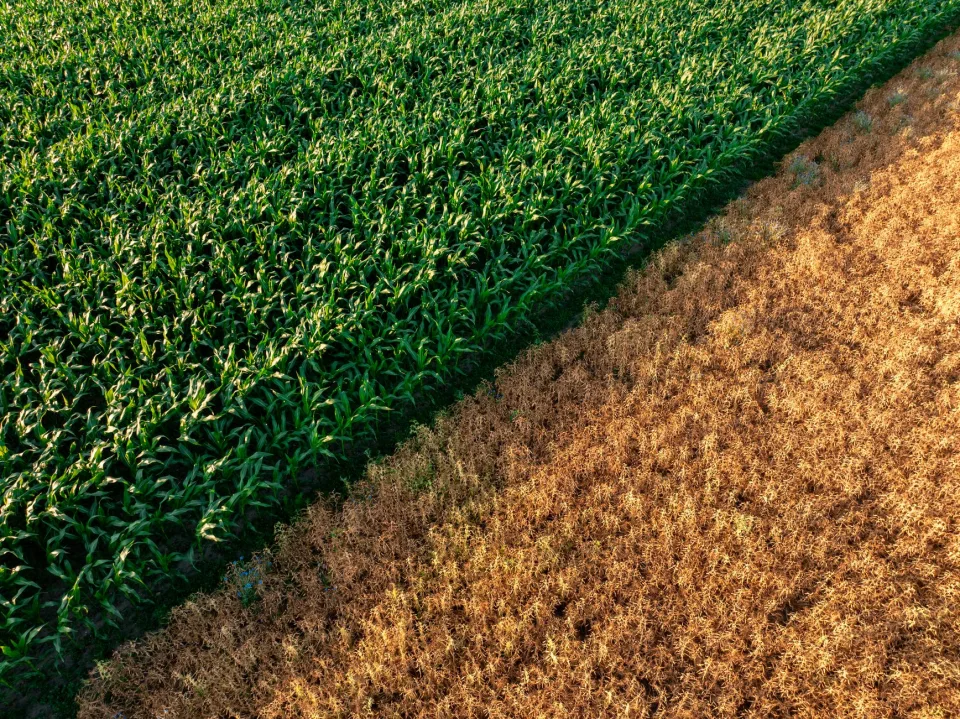 Europe Faces Growing Water Crisis As Droughts Affect Multiple Countries