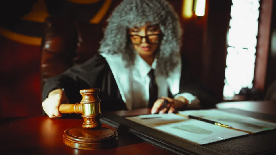 Interpreter Support in Courts: Türkiye Discusses Quality and Adequacy Standards