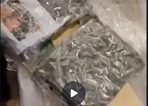 Large Marijuana Seizure in Bulgaria Involves Vehicle from Türkiye Bound for Germany