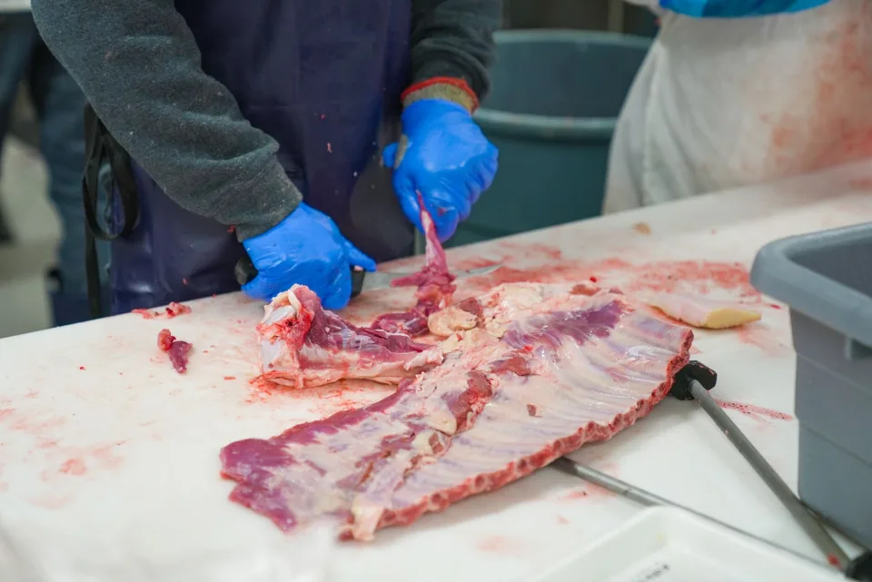 Netherlands Debates Ban on Non-Stunned Religious Slaughter Amid Animal Welfare Concerns