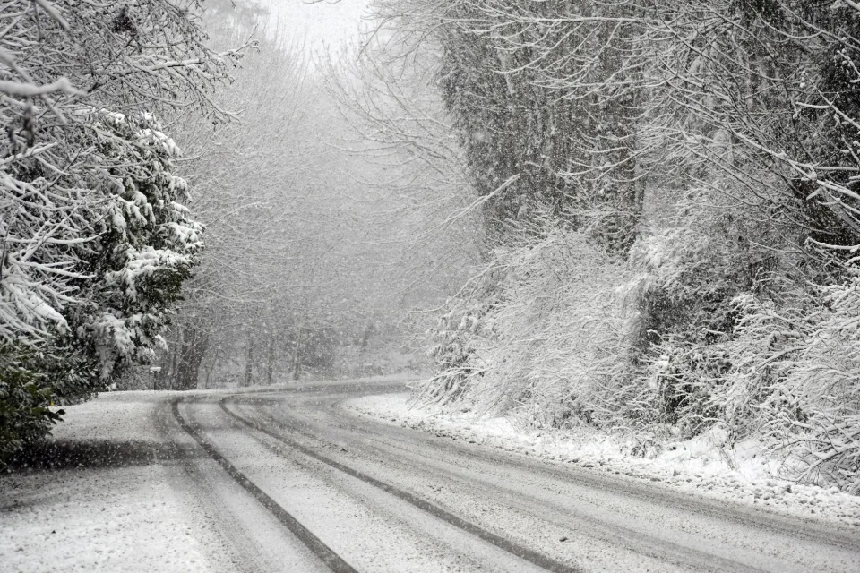 Allemagne : premières prévisions pour l'hiver, peu de neige en vue