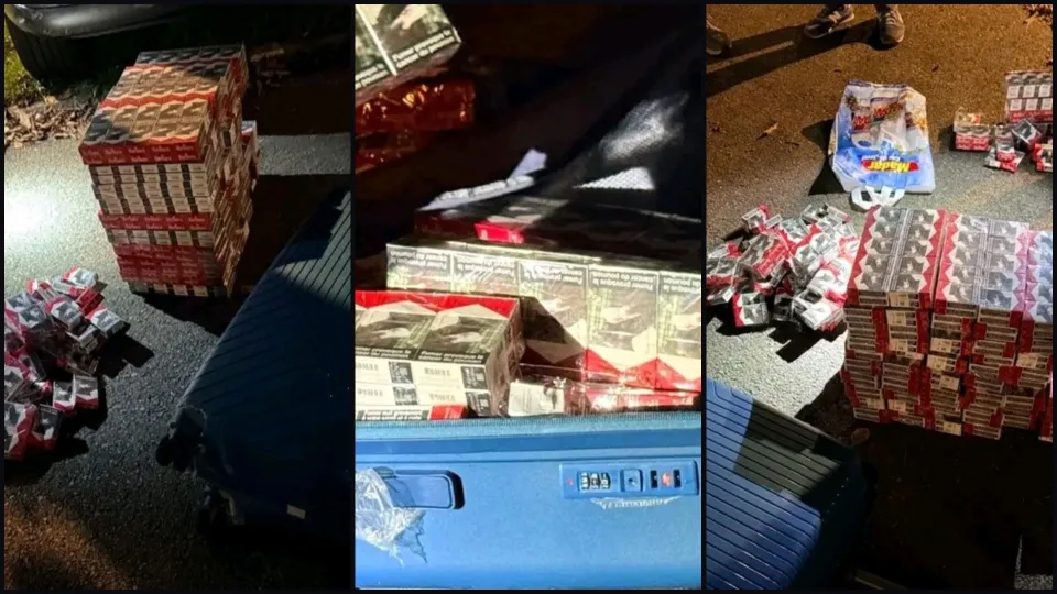 Polizei entdeckt bei Einsätzen in Frankreich große Mengen Drogen und Schmuggelzigaretten