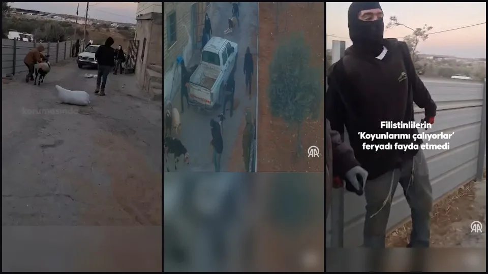 Incursioni e saccheggi israeliani in una cittadina della Cisgiordania protetti dai soldati