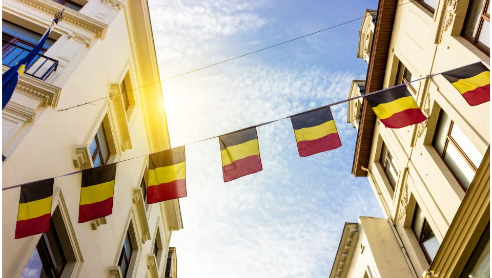 Une ONG poursuit la Belgique pour inaction face à la pollution aux PFAS, dit-on la plus élevée d’Europe