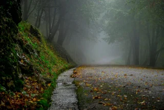 Harun Cankaya