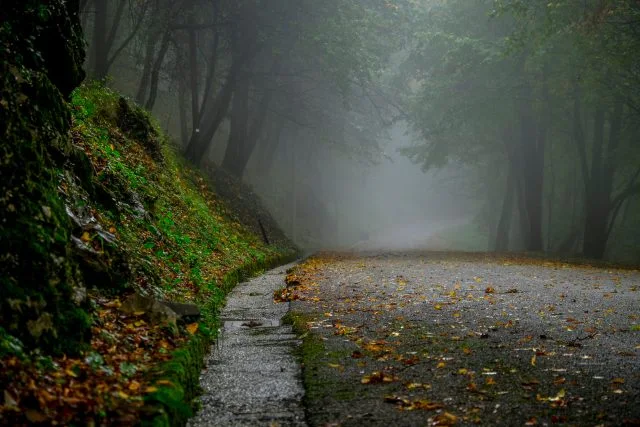 Harun Cankaya