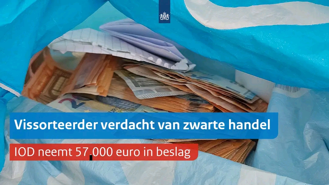 هولندا تفتح تحقيقًا مع شركة أسماك بخصوص تجارة غير قانونية