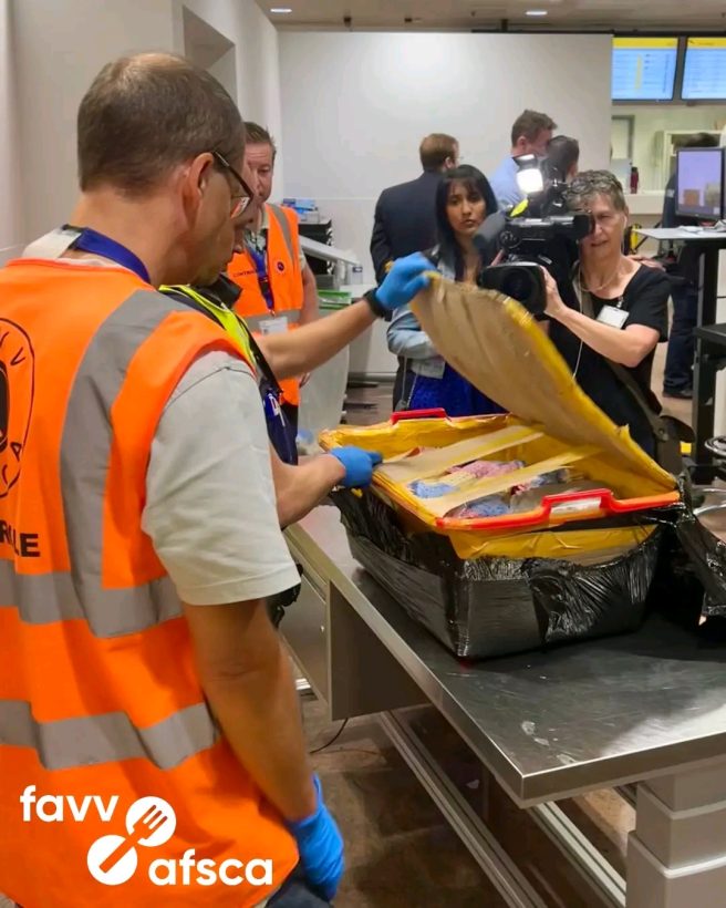 Contrôles de bagages renforcés à Bruxelles : avertissement pour les voyageurs hors Union européenne